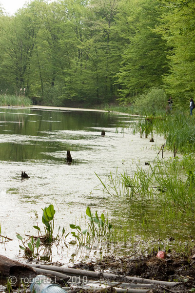 robertoi_cernica_apr2010_26