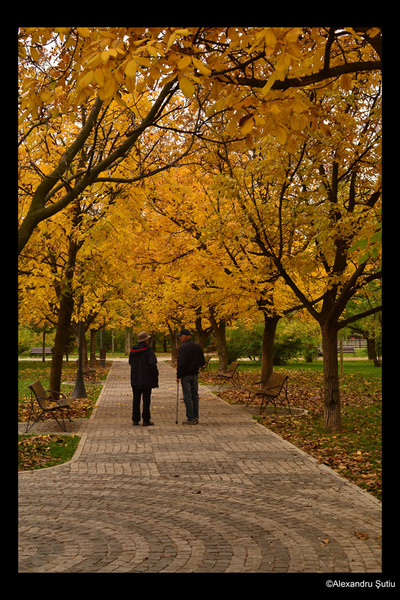 autumn-talk-dsc_5011