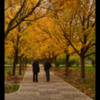autumn-talk-dsc_5011