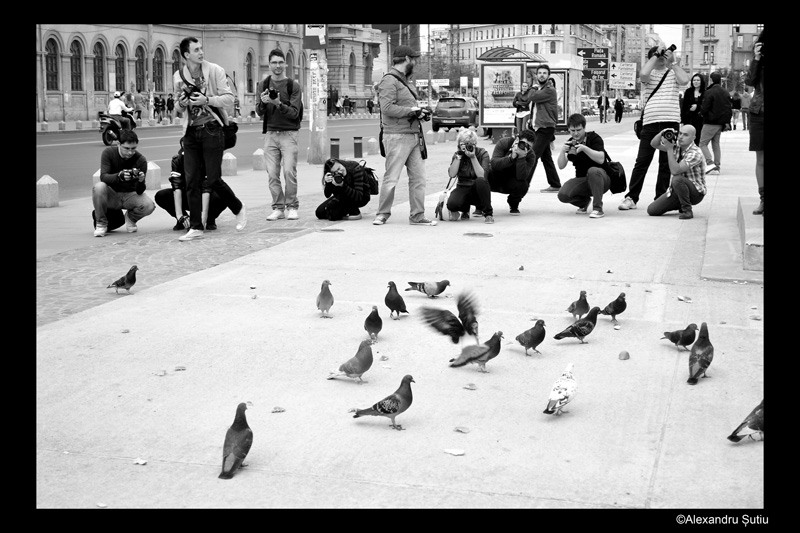 photographers-dsc_2170