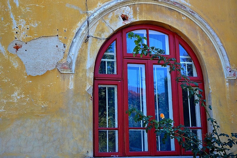 yellow-rose-at-past-window