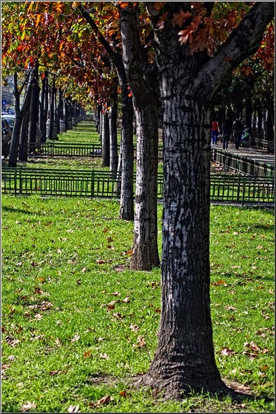 serbanvornicu_sprerahova_01