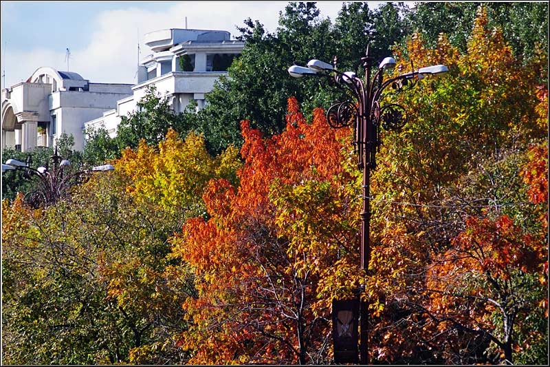 serbanvornicu_sprerahova_02