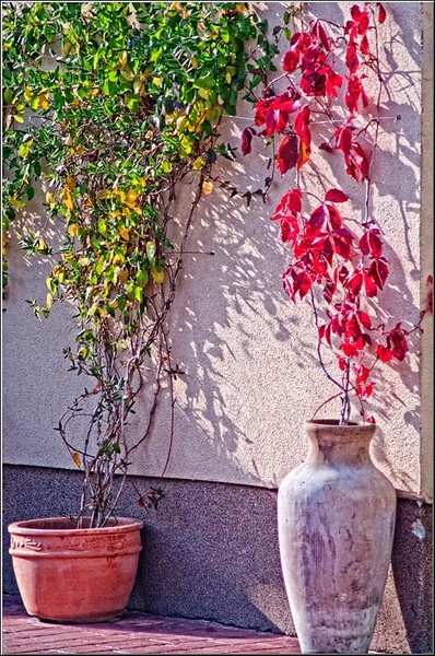 serbanvornicu_sprerahova_08