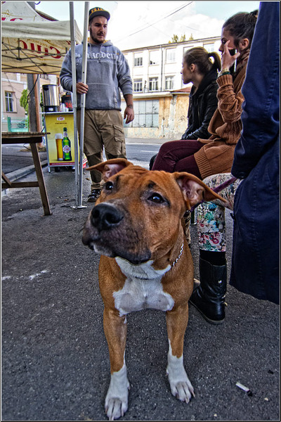 serbanvornicu_sprerahova_15