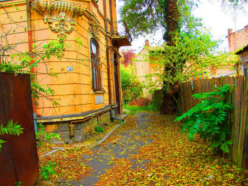 dsc09345a_casa-clinciu