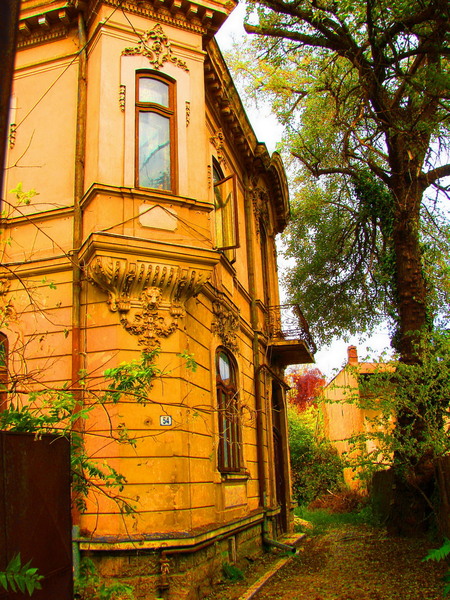 dsc09346a_casa-clinciu