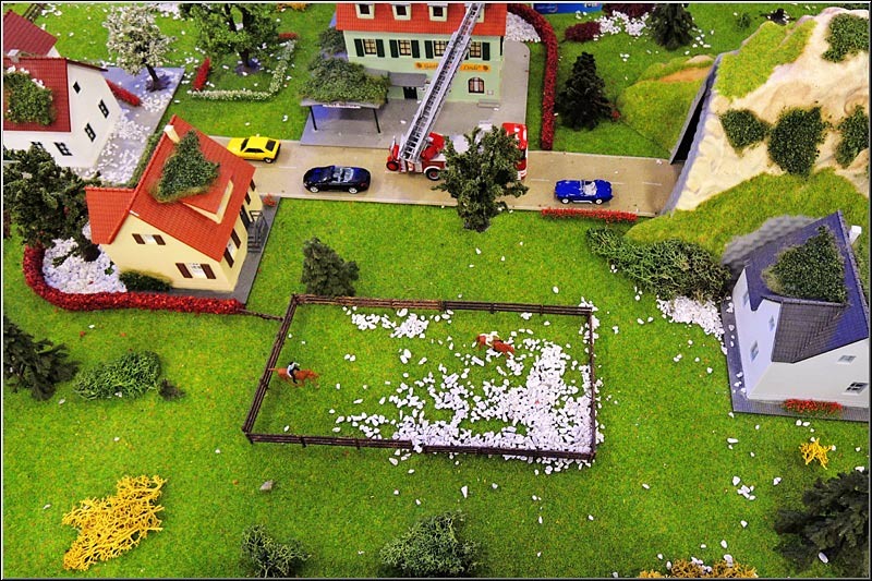 serbanvornicu_expophotowalk_10