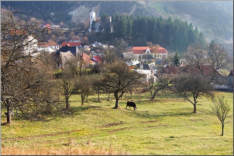 serbanvornicu_rosiamontana_07