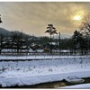 20100123_ads_01