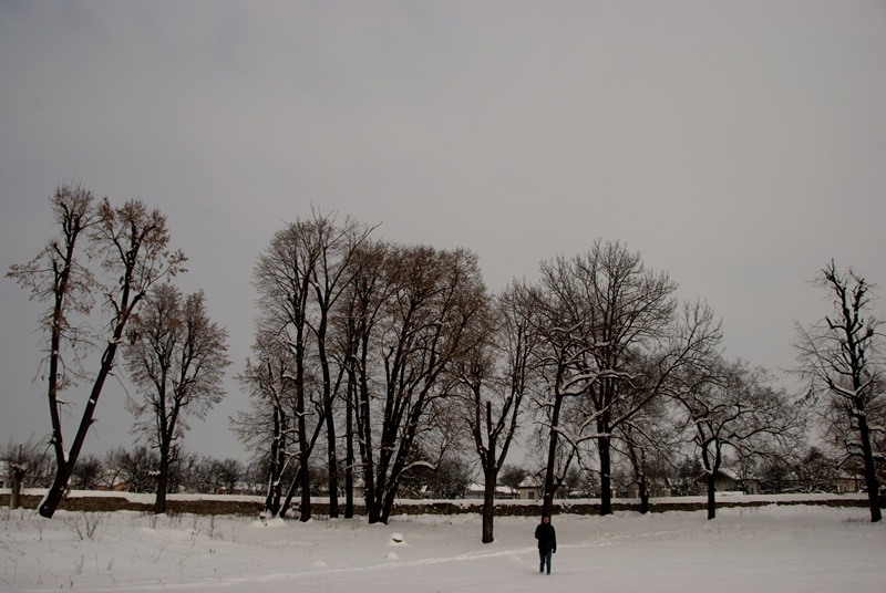 20100123_cbor_11