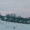 20100123_cbor_05