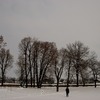 20100123_cbor_11