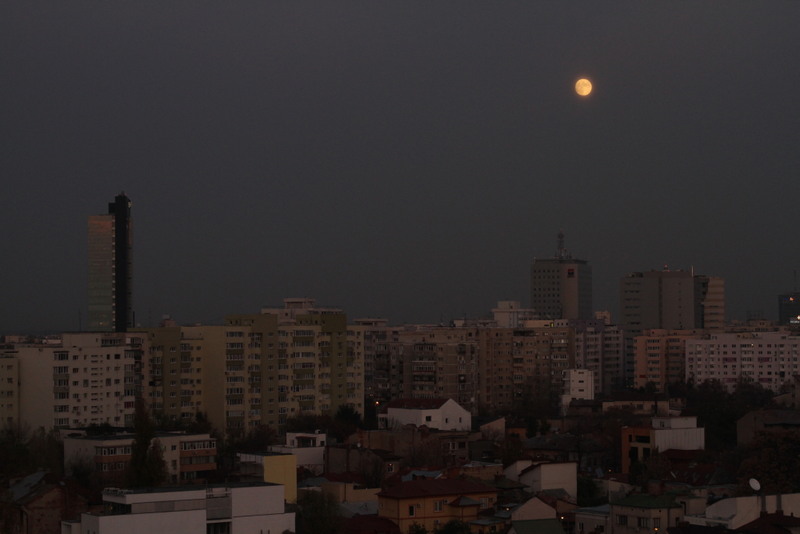 2013_11_16_leo_000181x1