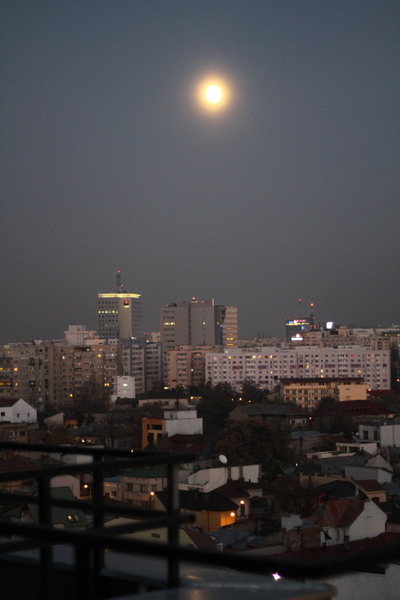 2013_11_16_leo_000226x1