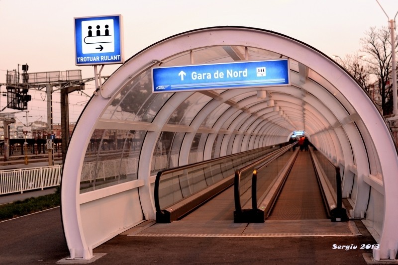 basarab-noaptea-01_01