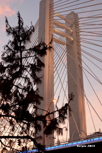 basarab-noaptea-02_01