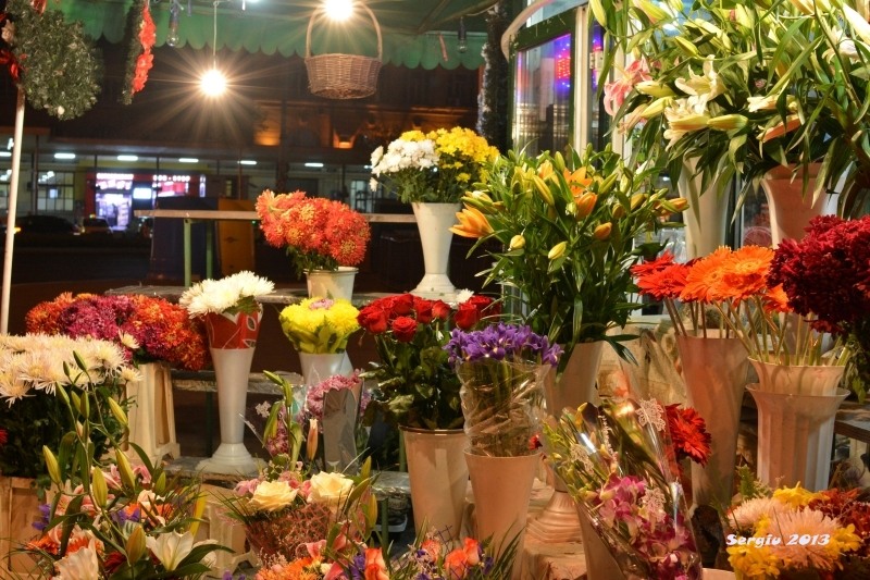 basarab-noaptea-09_01