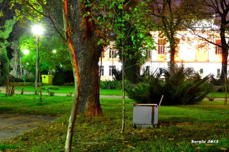 basarab-noaptea-24_01