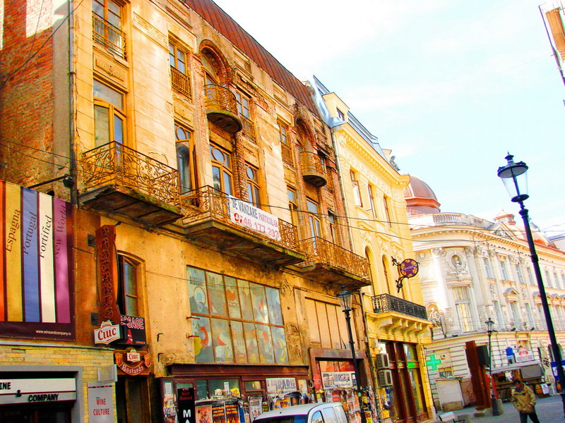 dsc00010_libraria-g_cosbuc