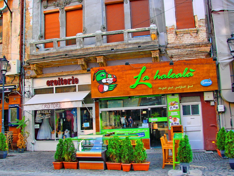 dsc00041_croitorie-la-haleala