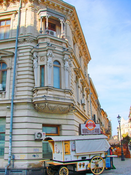 dsc09958_ramas-de-caruta