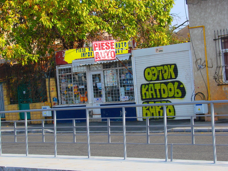 dsc09798_ramas-izolat