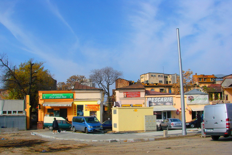 dsc09804_pescarie_florarie_la-om-bun