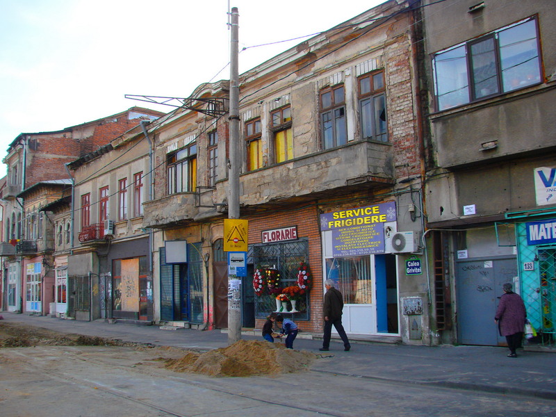 dsc09838_florarie-si-frigidere