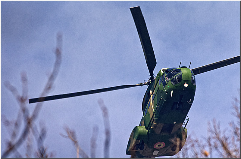 serbanvornicu_1dec_02