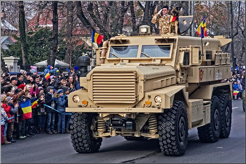 serbanvornicu_1dec_13