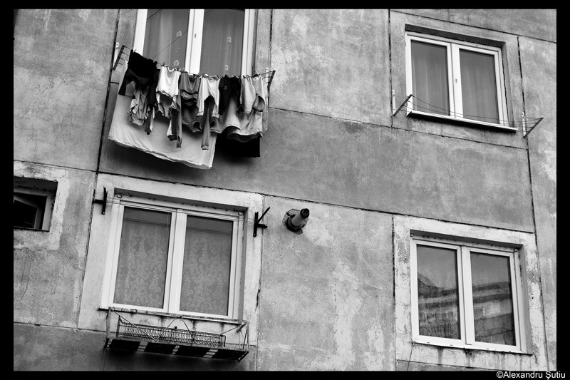 hanging-dsc_5388-prel