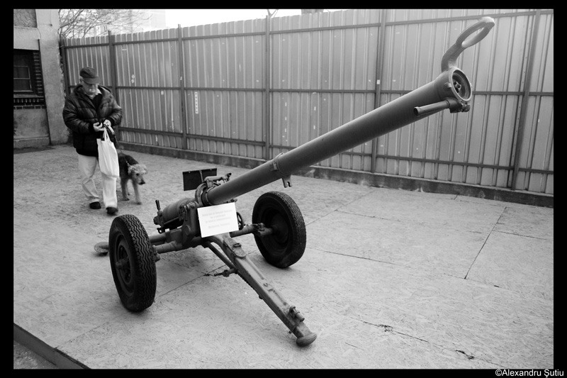 man-dog-canon-dsc_5522-2-prel