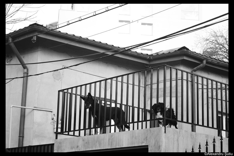 were-guarding-it-dsc_5381-2-prel