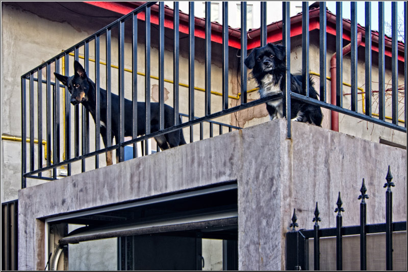 serbanvornicu_invazie68_03