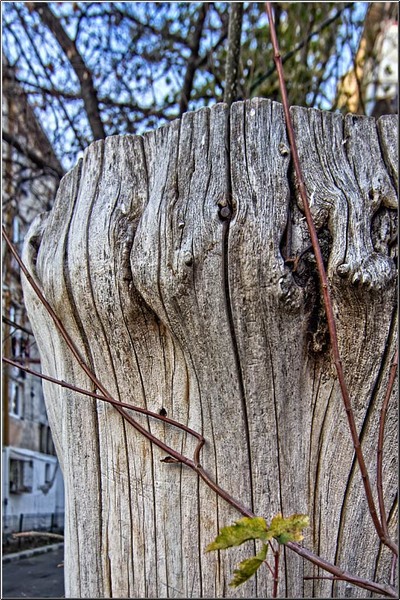 serbanvornicu_invazie68_05