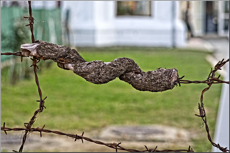 serbanvornicu_invazie68_11