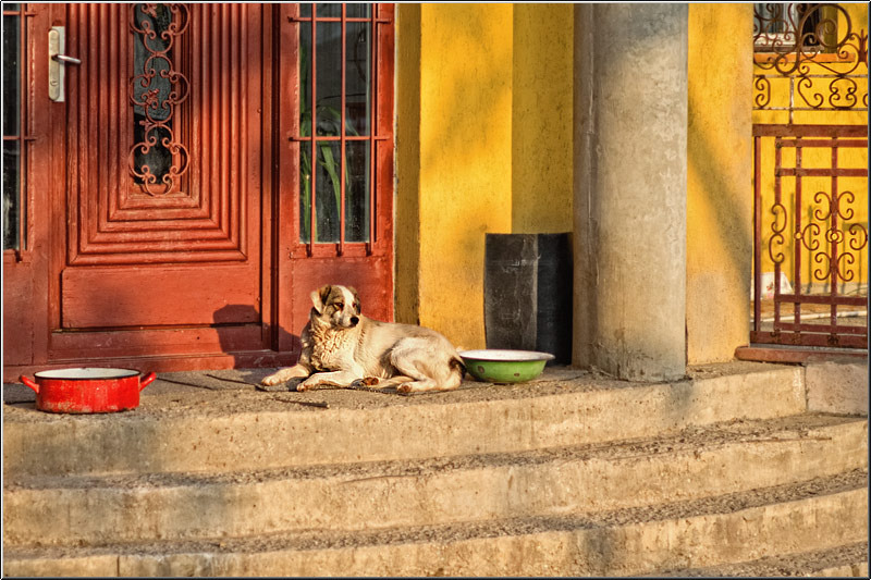 serbanvornicu_invazie68_18