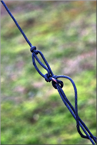 serbanvornicu_invazie68_27