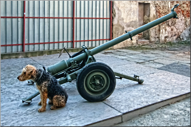 serbanvornicu_invazie68_29