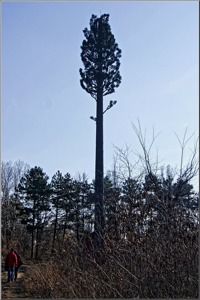 serbanvornicu_taranimanui_05