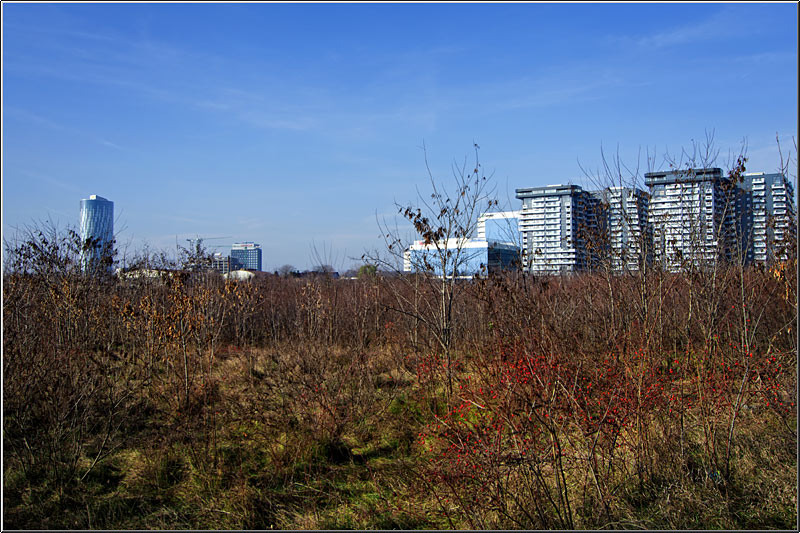 serbanvornicu_taranimanui_07