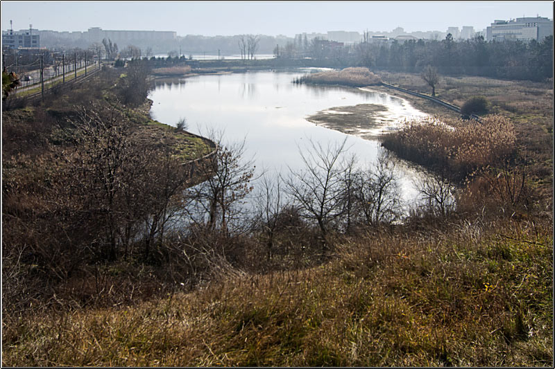 serbanvornicu_taranimanui_09