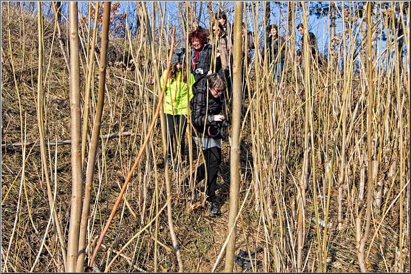 serbanvornicu_taranimanui_10