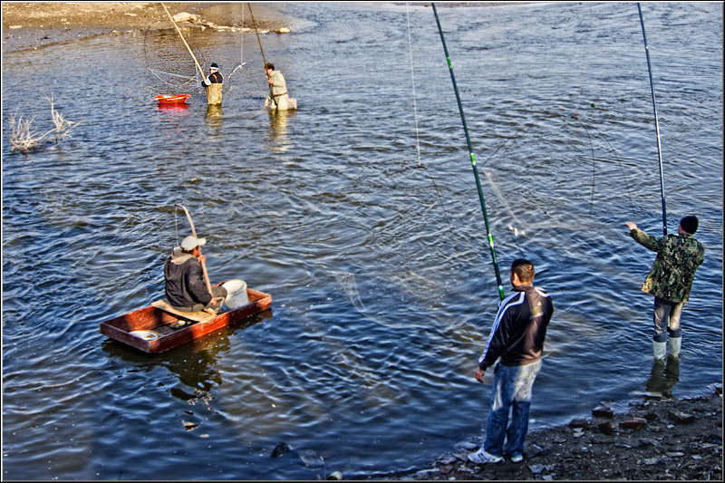 serbanvornicu_taranimanui_13