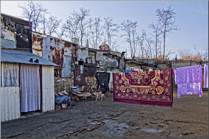 serbanvornicu_taranimanui_14