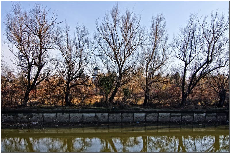 serbanvornicu_taranimanui_17