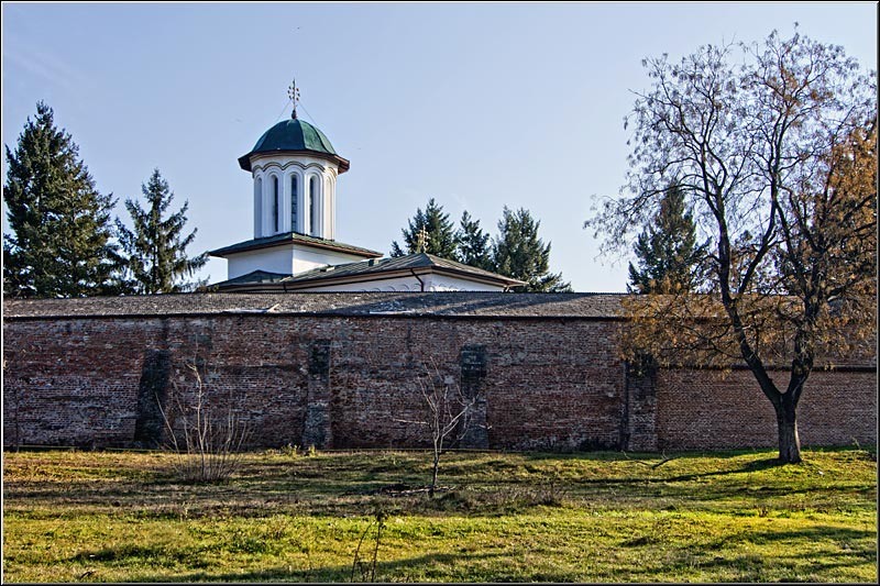 serbanvornicu_taranimanui_19