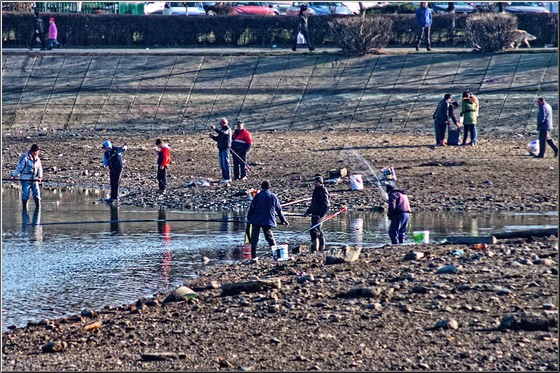 serbanvornicu_taranimanui_20