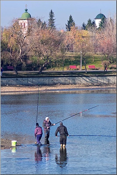 serbanvornicu_taranimanui_22